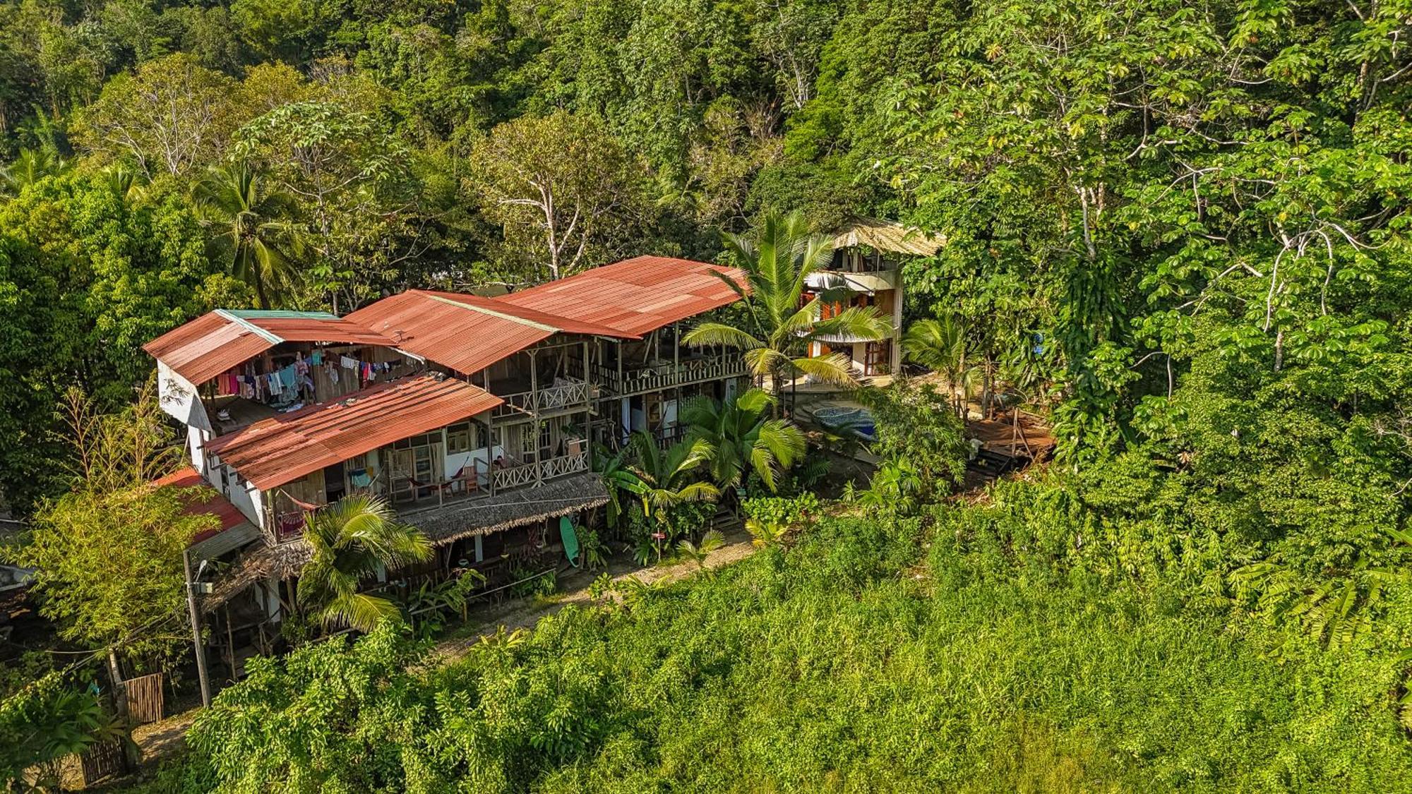 Utria Ecohostel El Valle  Exterior foto